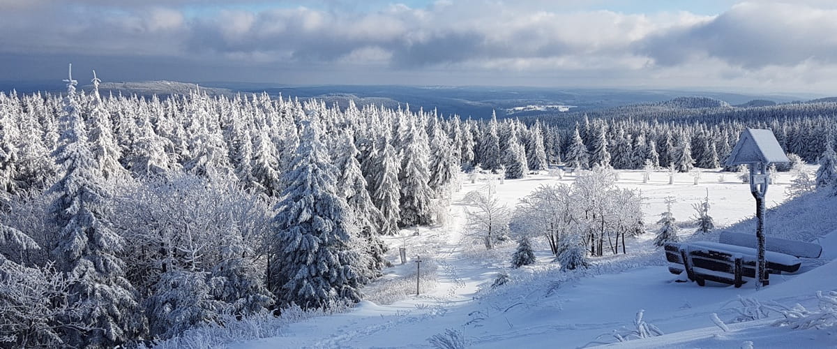 Winterlandschaft Oberhof - Pension Oberhof 810M